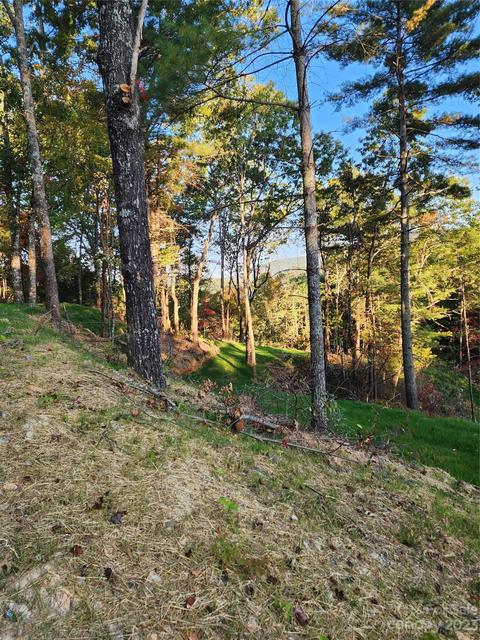 482 Bear Run, Ferguson, NC 28624 photo 22