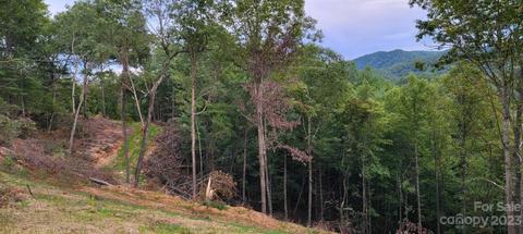 482 Bear Run, Ferguson, NC 28624 photo 2