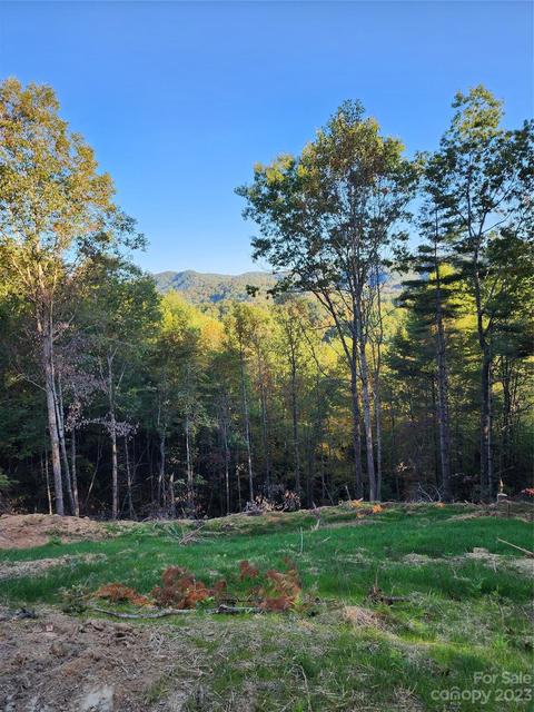 482 Bear Run, Ferguson, NC 28624 photo 5