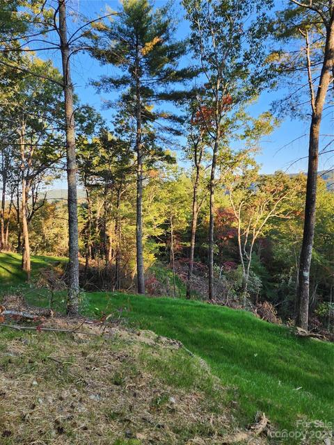 482 Bear Run, Ferguson, NC 28624 photo 7