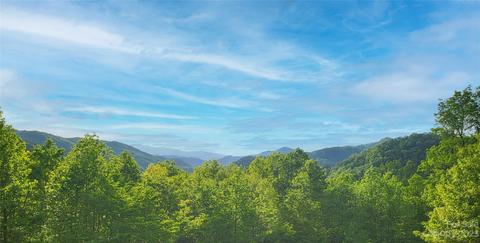 00 Sampler Dr, Cullowhee, NC 28723 photo 4