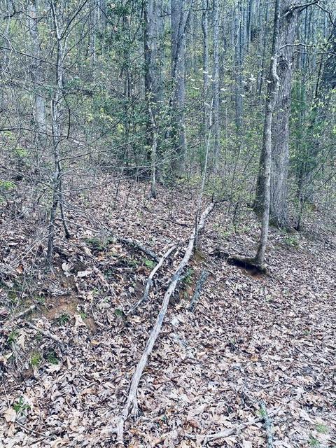 00 Perimeter Dr, Sylva, NC 28779 photo 7