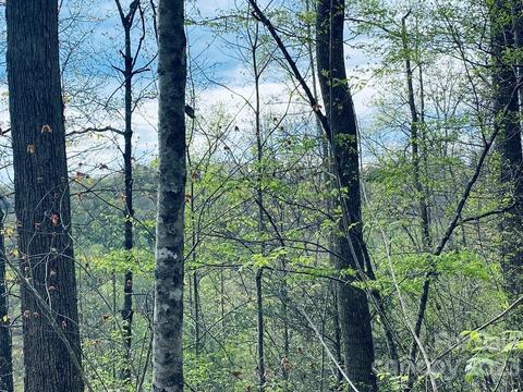 00 Perimeter Dr, Sylva, NC 28779 photo 3