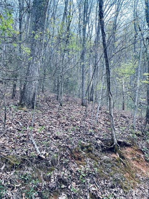 00 Perimeter Dr, Sylva, NC 28779 photo 9
