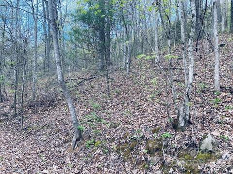 00 Perimeter Dr, Sylva, NC 28779 photo 11