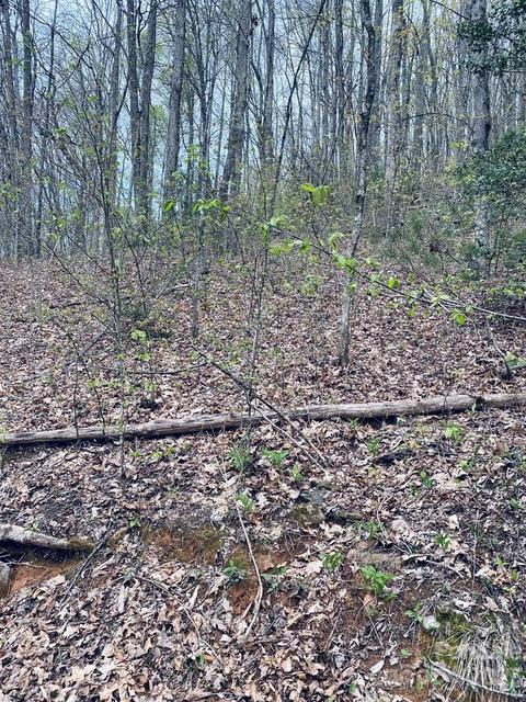 00 Perimeter Dr, Sylva, NC 28779 photo 6