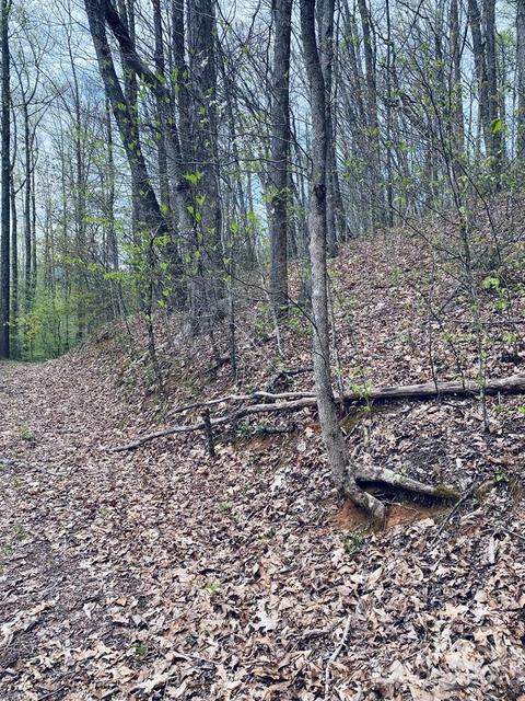 00 Perimeter Dr, Sylva, NC 28779 photo 5