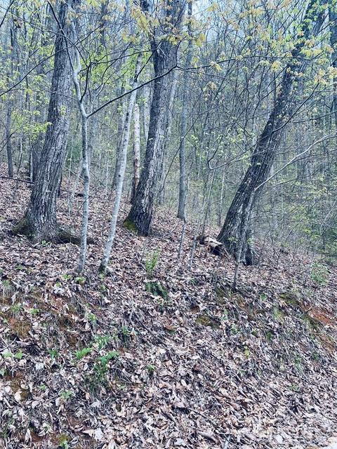 00 Perimeter Dr, Sylva, NC 28779 photo 8