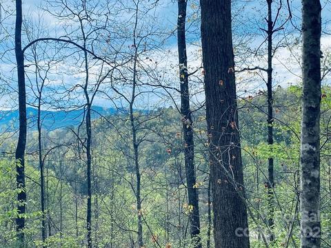 00 Perimeter Dr, Sylva, NC 28779 photo 2