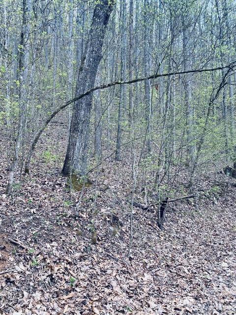 00 Perimeter Dr, Sylva, NC 28779 photo 4