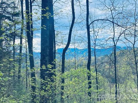 00 Perimeter Dr, Sylva, NC 28779