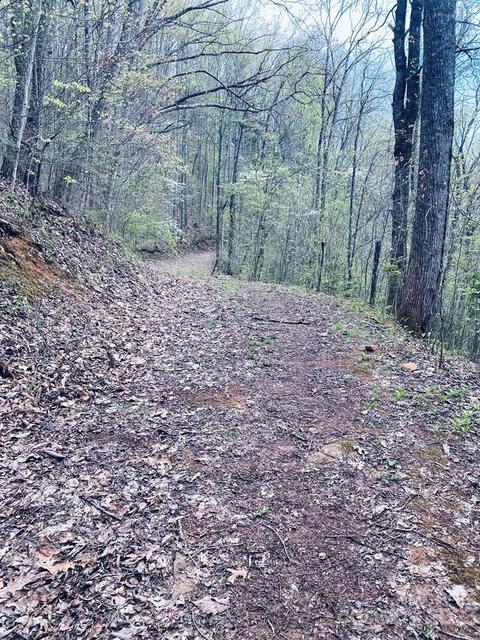 00 Perimeter Dr, Sylva, NC 28779 photo 10
