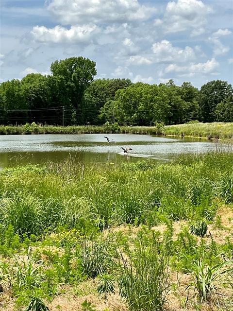 000 Griffith Rd, Monroe, NC 28112 photo 5