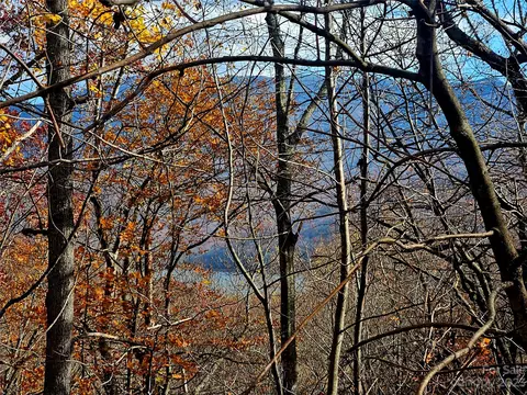 14 Great Aspen 125 Way #125, Black Mountain, NC 28711