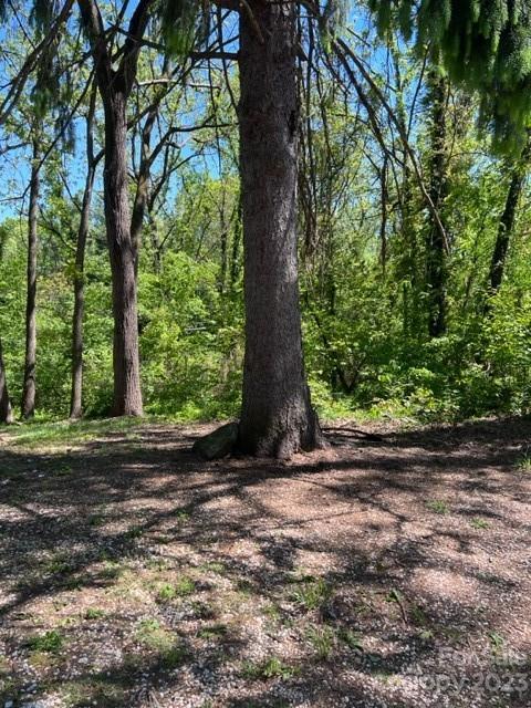 0 Dalton St, Asheville, NC 28803