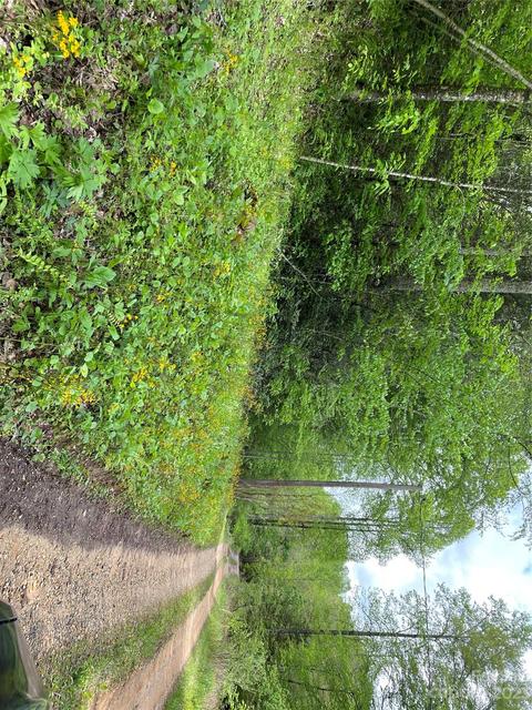 96 Sabbath Dr, Old Fort, NC 28762
