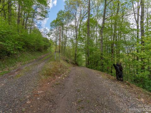292 Doubletop Trl, Sylva, NC 28779 photo 27