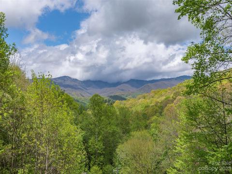 292 Doubletop Trl, Sylva, NC 28779 photo 14