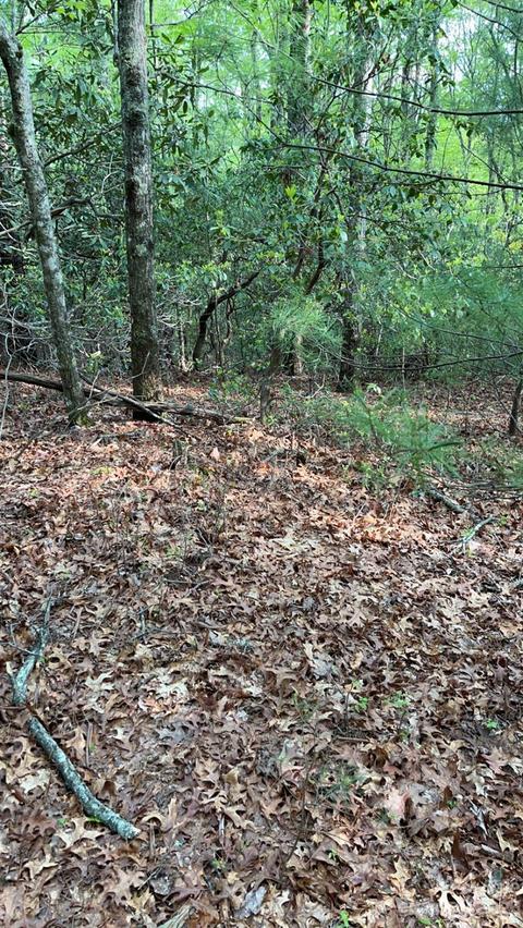 0 Gonce Dr, Mills River, NC 28759