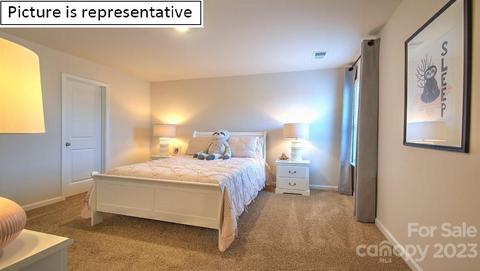 125 Flame Azalea Ct, Locust, NC 28097 photo 34