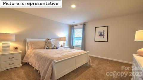 125 Flame Azalea Ct, Locust, NC 28097 photo 33