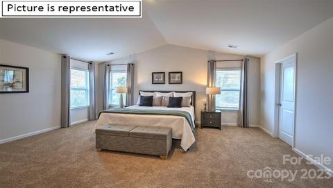 125 Flame Azalea Ct, Locust, NC 28097 photo 26