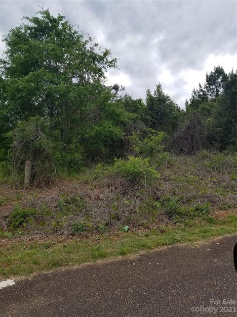 8428 E Burke Farms Rd, Connelly Springs, NC 28612
