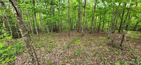 Cross Creek Trail, Mill Spring, NC 28756
