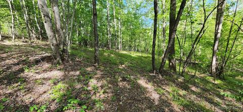 Cross Creek Trail, Mill Spring, NC 28756