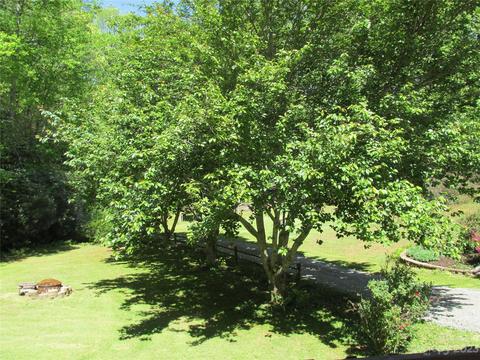 157 Gettysburg Dr, Sylva, NC 28779 photo 31