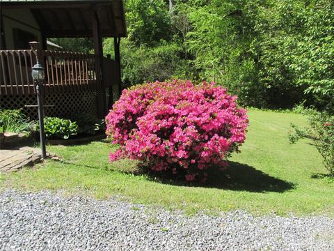 157 Gettysburg Dr, Sylva, NC 28779 photo 34