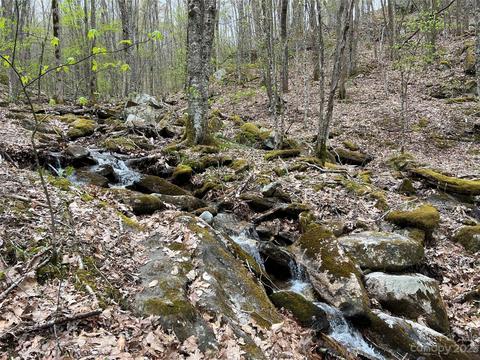 Tbd Red Fox Lane, Beech Mountain, NC 28604
