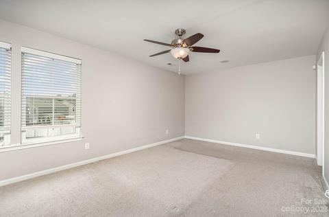 10925 Tailwater St, Davidson, NC 28036 photo 21