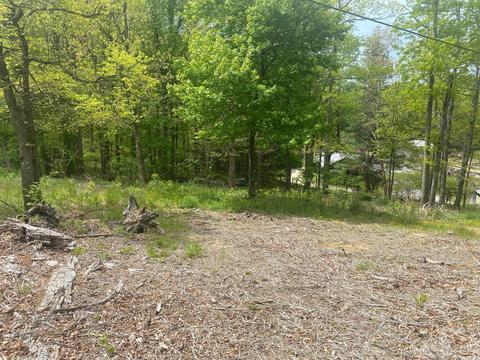 0 Pinnacle Mountain Rd, Zirconia, NC 28790