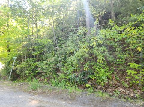 00 Harrison Hill Rd #13, Swannanoa, NC 28778