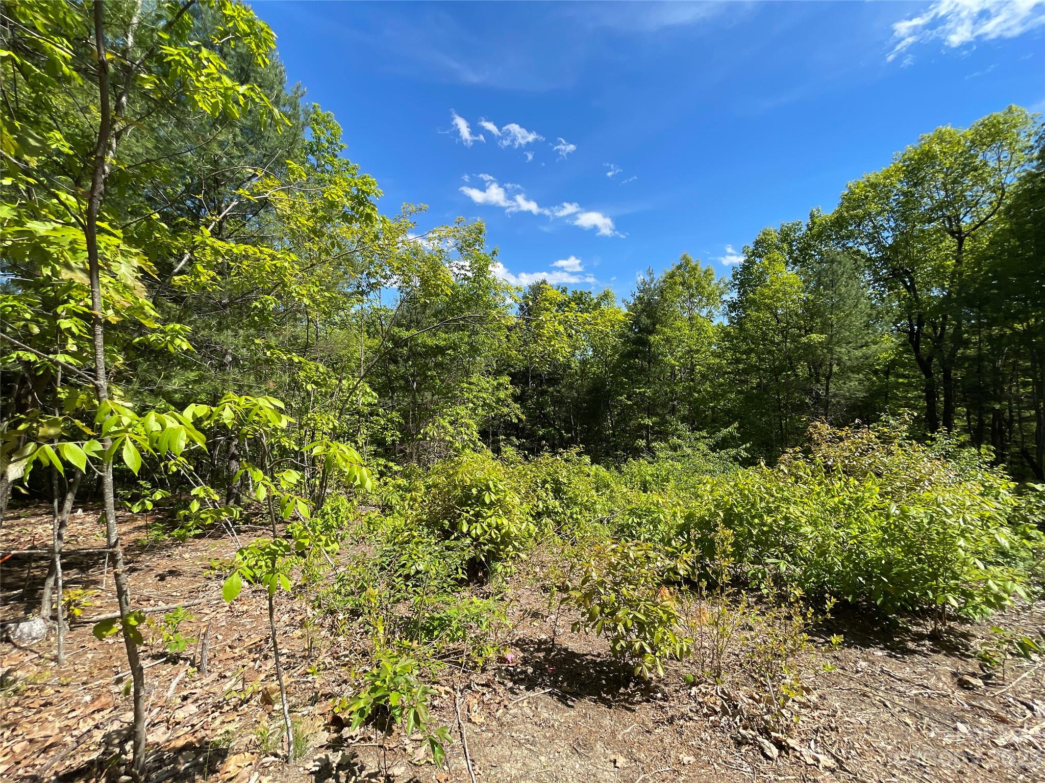 26 Overlook Dr Unit -r  