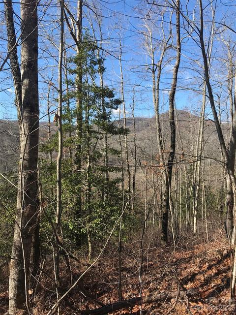 5 Honey Mountain Rd, Lake Toxaway, NC 28747