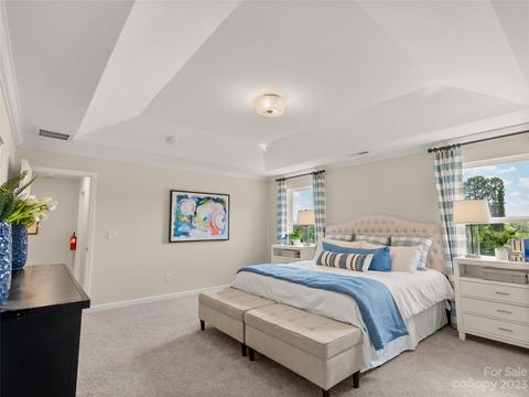 1271 Scotch Meadows Loop #162, Monroe, NC 28110 photo 9
