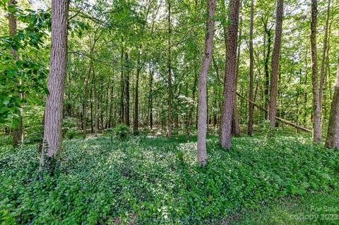 4690 Davidson Rd, Davidson, NC 28036 photo 29