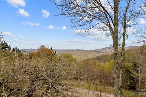 304 Sarvis Ln, Mars Hill, NC 28754 photo 4
