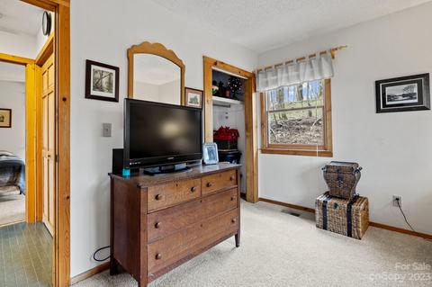 304 Sarvis Ln, Mars Hill, NC 28754 photo 32