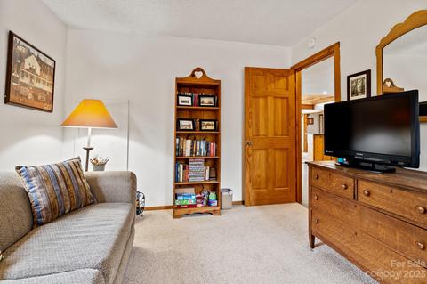304 Sarvis Ln, Mars Hill, NC 28754 photo 31