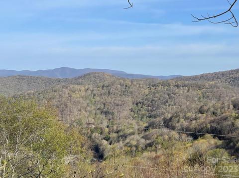 304 Sarvis Ln, Mars Hill, NC 28754 photo 40
