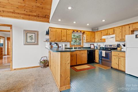 304 Sarvis Ln, Mars Hill, NC 28754 photo 17