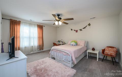 413 3rd Ave SW, Conover, NC 28613 photo 45