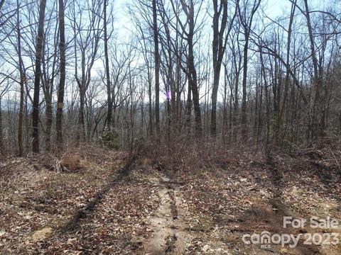 9999 Dj 323 Dr #323, Fairview, NC 28730