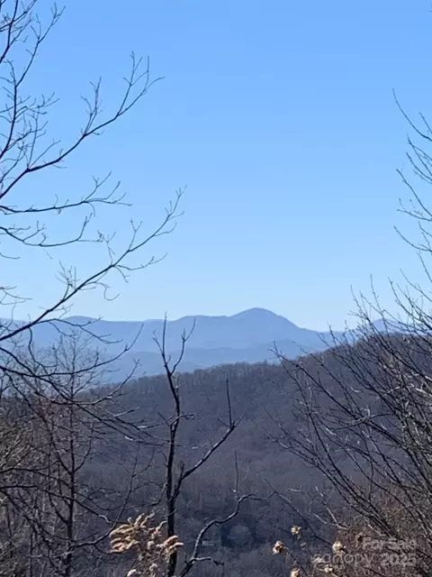 9999 Ebby Ridge 336 Dr #336, Fairview, NC 28730