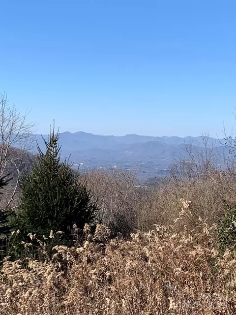 9999 Ebby Ridge 340 Dr #340, Fairview, NC 28730