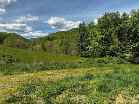 1163 Beans Creek Rd, Bakersville, NC 28705