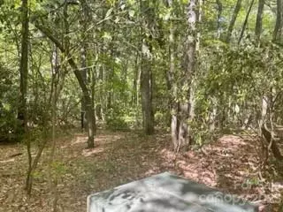 103 Maple Hill Dr, Flat Rock, NC 28731 photo 2
